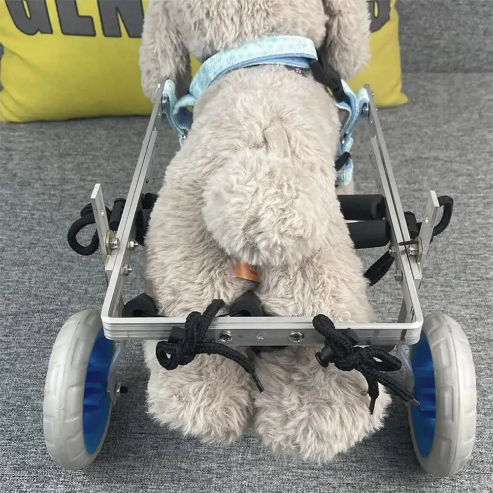 Chaise roulante pour chien