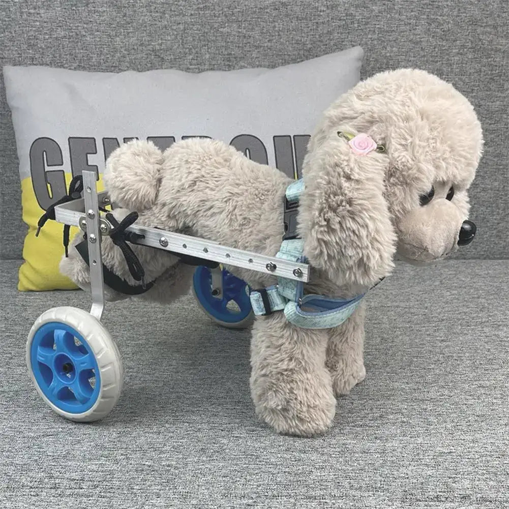 Chaise roulante pour chien