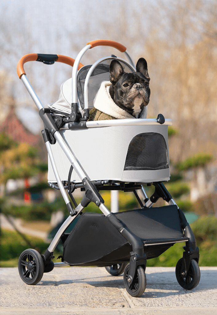 Poussette pour chien bouledogue